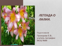 Презентация Легенда о лилии