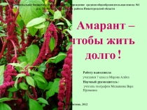 Амарант-чтобы жить долго