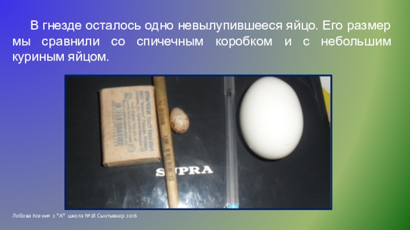 Исследовательская работа Однажды летом Лобова Ксения 2 Лобова Ксения 2