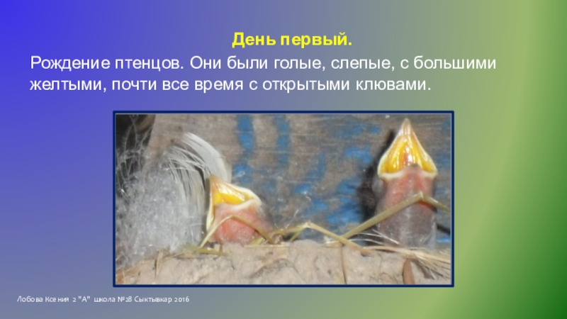 Исследовательская работа Однажды летом Лобова Ксения 2 Лобова Ксения 2
