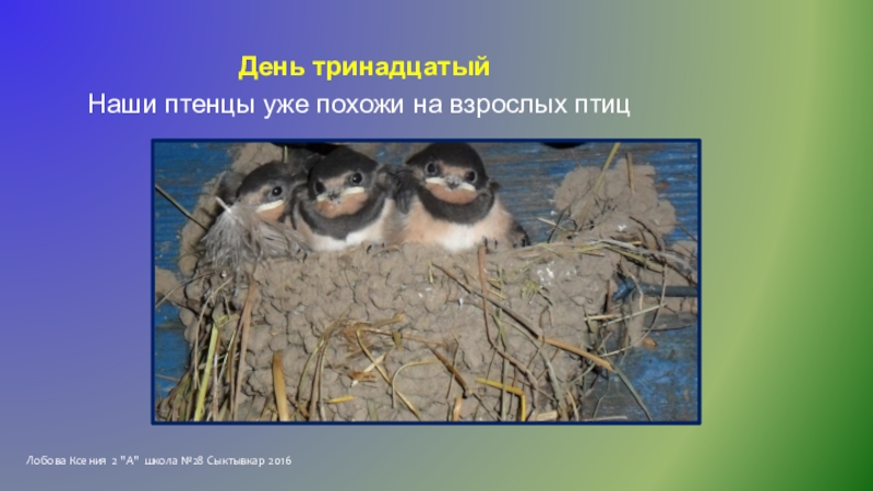 Исследовательская работа Однажды летом Лобова Ксения 2 Лобова Ксения 2