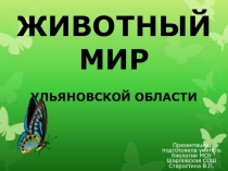 Презентация по биологии Животный мир Ульяновской области