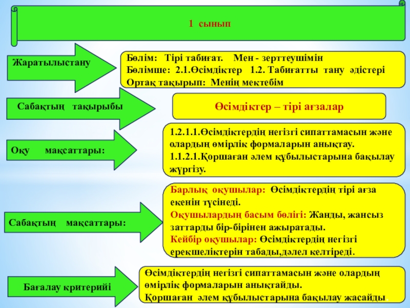 Презентация на тему Оқу мақсаттары: Бөлім: Тірі табиғат. Мен - Оқу мақсаттары: Бөлім: Тірі табиғат. Мен - зерттеушімінБөлімше: 2.1.Өсімдіктер 1.2. Табиғатты тану