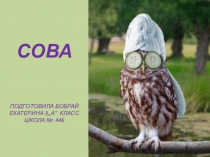 Работа по окружающему миру В мире птиц Сделана ученицей 3 класса Бобрай Катей Цель: учимся создавать презентации.