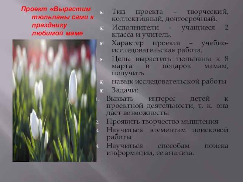 Презентация на тему Проект «Вырастим тюльпаны сами к празднику любимой мамеТип Проект «Вырастим тюльпаны сами к празднику любимой мамеТип проекта – творческий, коллективный, долгосрочный.Исполнители – учащиеся 2