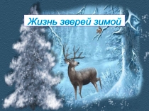 Презентация по живому миру Жизнь зверей зимой 3 класс