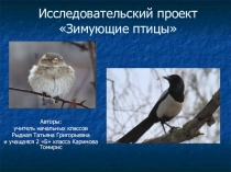 Проект на тему Зимующие птицы