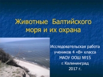 Презентация исследовательской работы на тему Животные Балтийского моря и их охрана