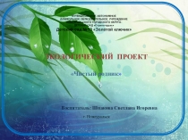 Экологическая презентация Чистый родник