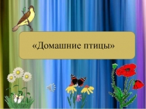 Домашние птицы