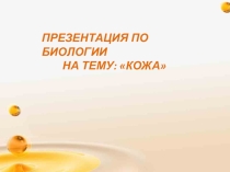 Презентация по биологии на тему: Кожа