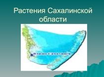 ПРезентация  Растения Сахалинской области