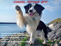Презентация Собака - верный друг
