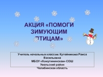 Презентация по программе внеурочной деятельности Юный эколог Зимующие птицы