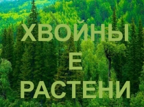 Презентация по биологии на тему: Отдел Голосеменные. Общая характеристика и значение