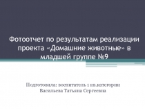 Фотоотчет по результатам реализации творческого проекта Домашние животные в младшей группе детского сада