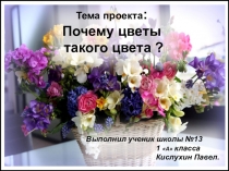 Проект Почему цветы такого цвета