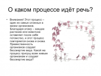 Презентация по биологии на тему размножение цветков6класс