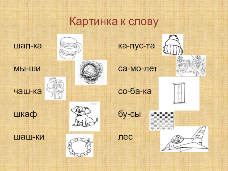Презентация к логопедическому занятию Дифференциация звуков С-Ш Картинка к словушап-камы-ши чаш-кашкафшаш-кика-пус-таса-мо-летсо-ба-кабу-сылес Картинка к словушап-камы-ши чаш-кашкафшаш-кика-пус-таса-мо-летсо-ба-кабу-сылес