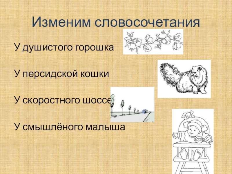 Презентация к логопедическому занятию Дифференциация звуков С-Ш Изменим словосочетанияУ душистого горошкаУ персидской кошкиУ скоростного шоссеУ смышлёного малыша Изменим словосочетанияУ душистого горошкаУ персидской кошкиУ скоростного шоссеУ смышлёного малыша