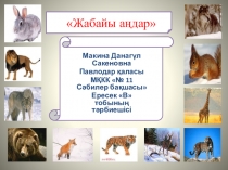 Презентация қоршаған орта Жабайы аңдар
