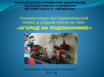 Презентация Огород на подоконнике в средней группе