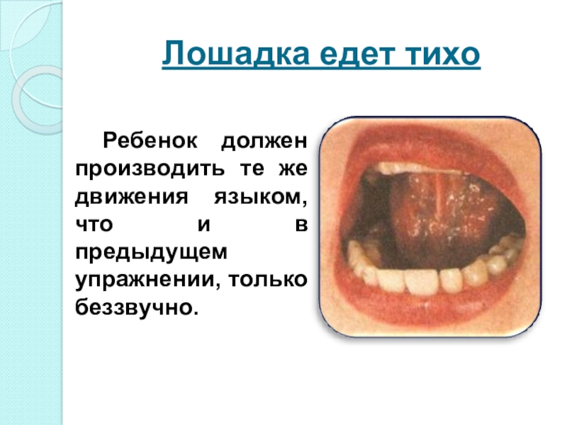 Презентация на звук Л Лошадка едет тихоРебенок должен производить те же движения языком, что и в предыдущем упражнении, только беззвучно. Лошадка едет тихоРебенок должен производить те же движения языком, что и в предыдущем упражнении, только беззвучно.