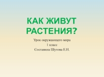Презентация по окружающему миру на тему Как живут растения