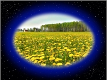 Презентация Природа родного края