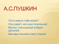 Презентация проекта по русскому языку Что в имени твоем?