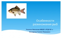 Презентация к уроку в 7 классе на тему Особенности размножения рыб