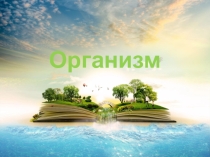 Презентация по окружающему миру на тему: Здоровье и безопасность