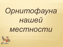 Презентация на НОУ Орнитофауна нашей местности