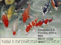 Презентация по дополнительному образованию Рыбы в китайской живописи ( второй год обучения)
