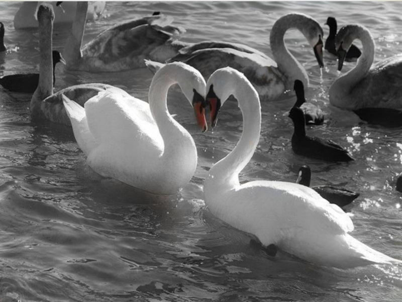 Презентация День Святого Валентина