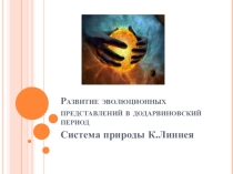 Система природы К.Линнея