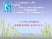 Презентация к уроку биологии в 6 классе по ТИО.