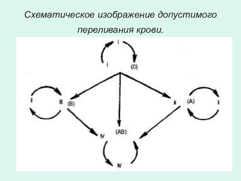 Схема переливания крови 8 класс биология