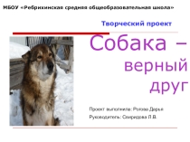 Информационно-творческий проект Собака - верный друг
