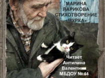 Презентация к стихотворению Мурка М. Лариковой