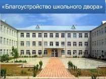 Презентация проекта на тему  Благоустройство школьного двора (8 класс)