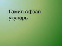 Гамил Афзал