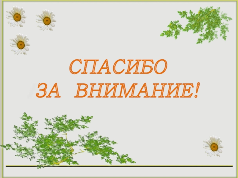 Презентация к выступлению педагога на тему Мое педагогическое кредо СПАСИБО ЗА ВНИМАНИЕ! СПАСИБО ЗА ВНИМАНИЕ!