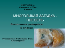Презентация Многоликая загадка - плесень