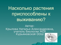 Презентация проекта Насколько растения приспособлены к выживанию?