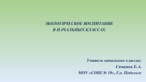 Воспитание экологической культуры младших школьников через организацию внеурочной деятельности