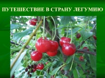 Игра-презентация Путешествие в Легумию по биологии 6 класс