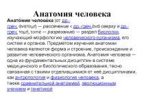 Анатомия человека