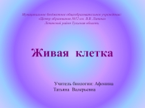 Презентация к уроку Живая клетка