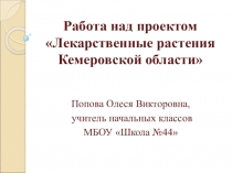 Презентация по внеурочному занятию Лекарственные растения Кемеровской области (3 класс)